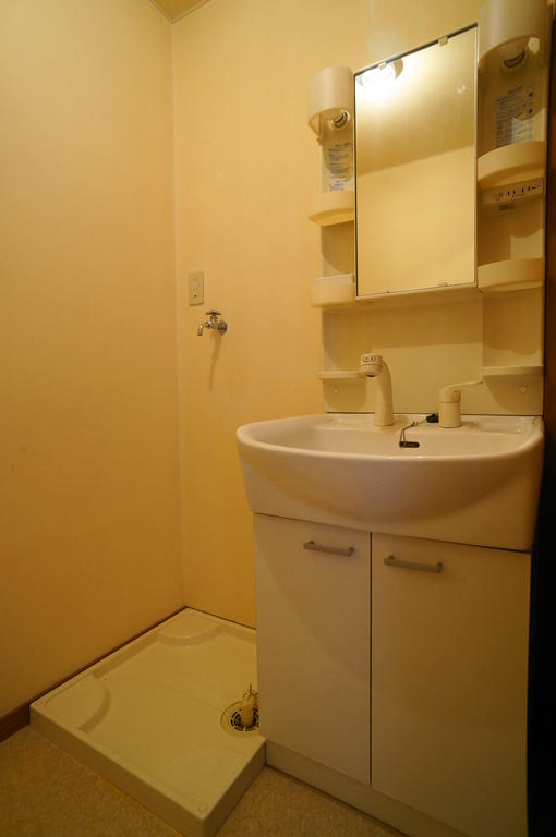 Washroom. Shampoo is Dresser