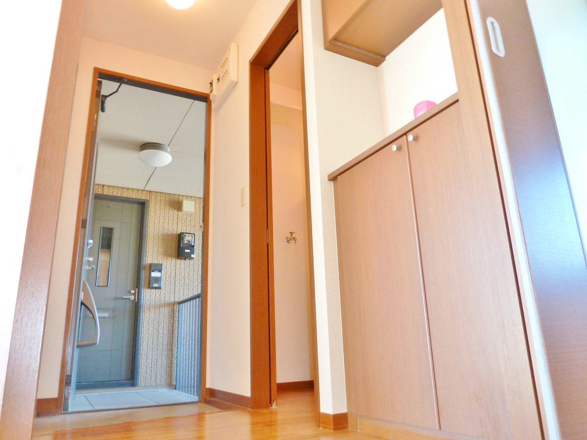 Entrance. Corridor. Shoe box is also on.