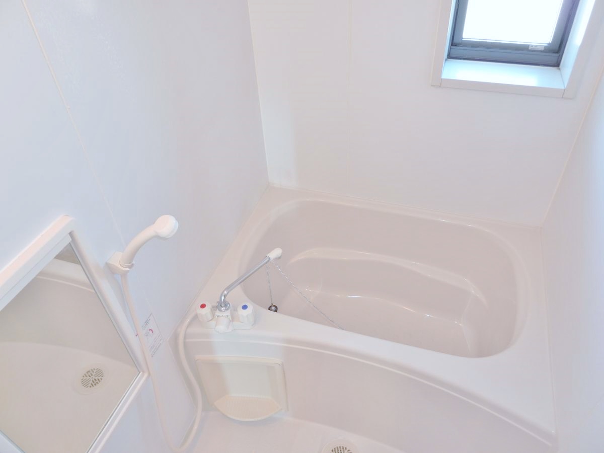 Bath. Cleanliness sustained with a window. Convenience is a large mirror and shampoo storage.