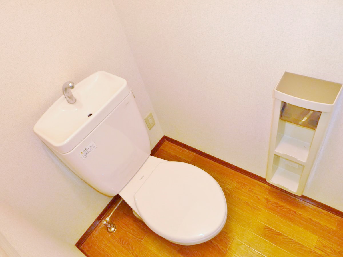 Toilet. Cleaning Ease cushion floor. There is a shelf on top of the toilet bowl. Convenient