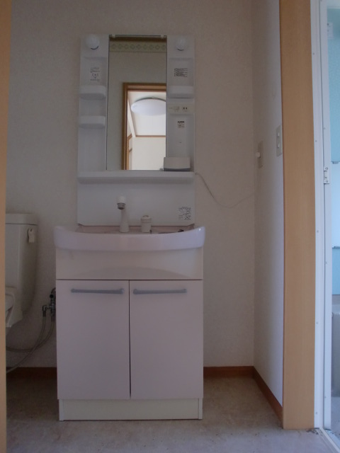 Washroom. Convenient Shampoo dresser