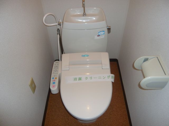 Toilet. It is a toilet with a clean.
