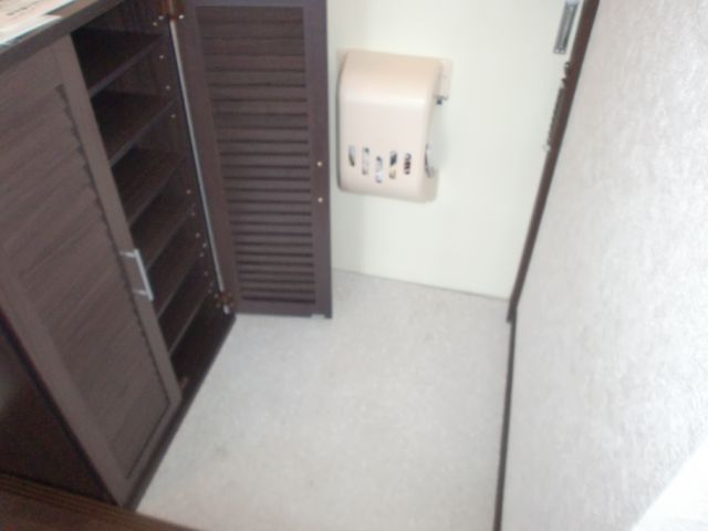 Entrance. It was established fashionable shoe rack. 