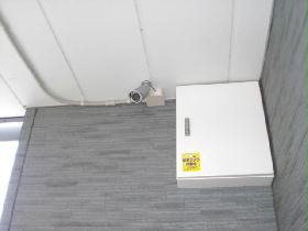 Other. Have been security cameras installed. 