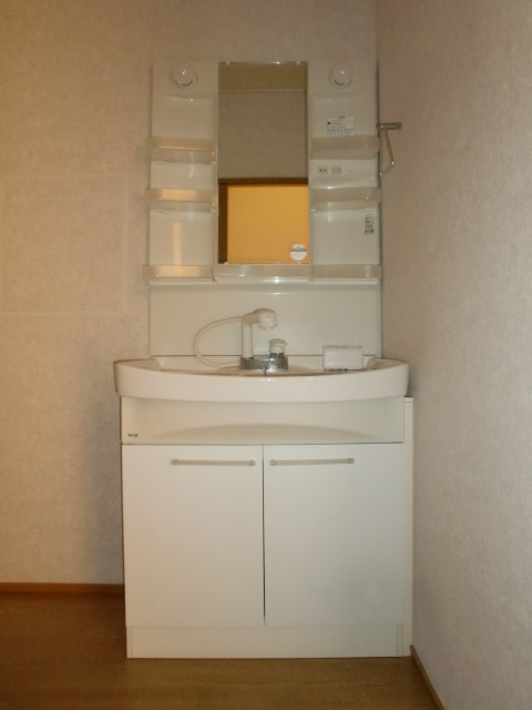 Washroom. Convenient shampoo dresser and wider