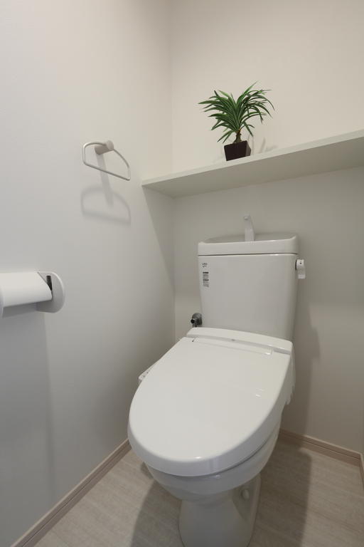 Toilet. The same type toilet