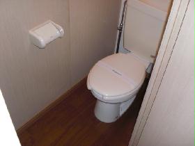 Toilet. Of course, it is toilet and another!