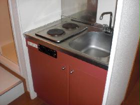 Kitchen. Electric stove ☆ Role in fire prevention! 