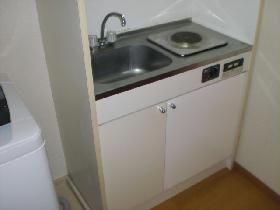 Kitchen. Electric stove ☆ Role in fire prevention! 