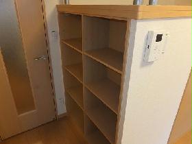 Living and room. Also with bookshelf.