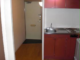 Kitchen. Electric stove ☆ Role in fire prevention!