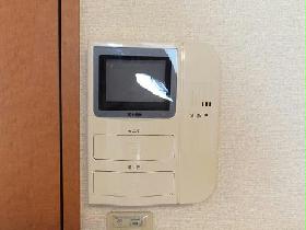 Living and room. Women must see! Interphone with a monitor