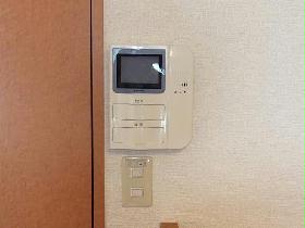 Living and room. Women must see! Monitor with intercom