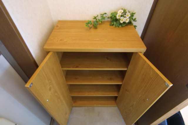 Entrance. With a shoe box