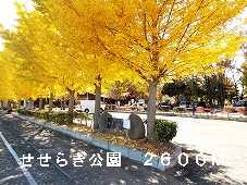 park. 2600m to babble park (park)