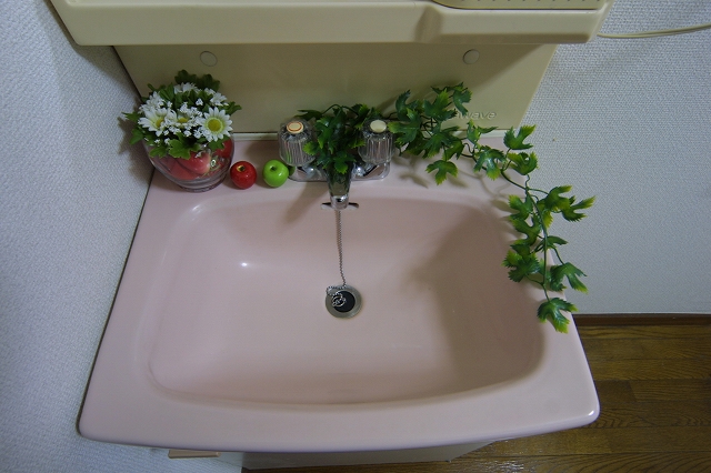 Washroom. With vanity