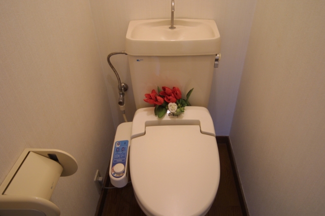 Toilet. With Washlet