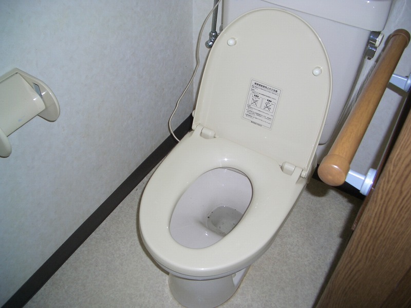 Toilet