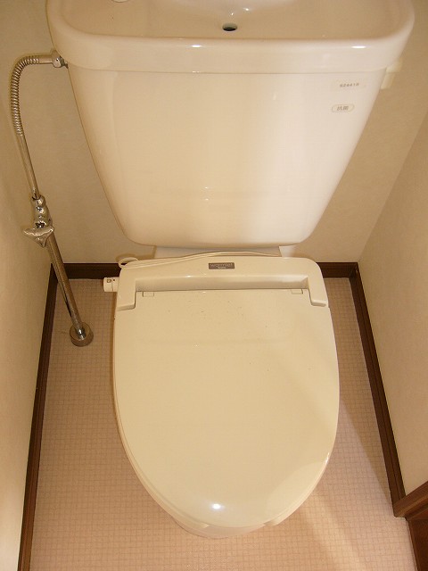 Toilet. Bright toilet