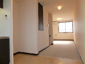 Living and room. Shooting from the kitchen side.