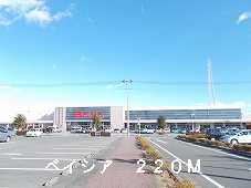 Supermarket. Beisia until the (super) 220m