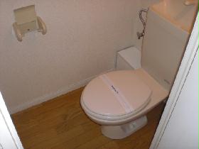 Toilet. Of course, it is a bath and separate! 