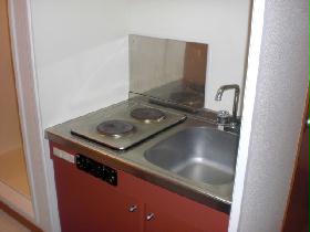 Kitchen. Electric stove ☆ Role in fire prevention!