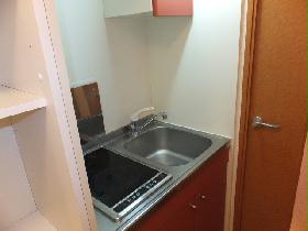 Kitchen. Electric stove ☆ Role in fire prevention!