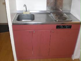 Kitchen. Electric stove ☆ Role in fire prevention!