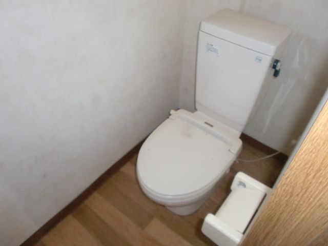 Toilet. It is a toilet with a clean. 