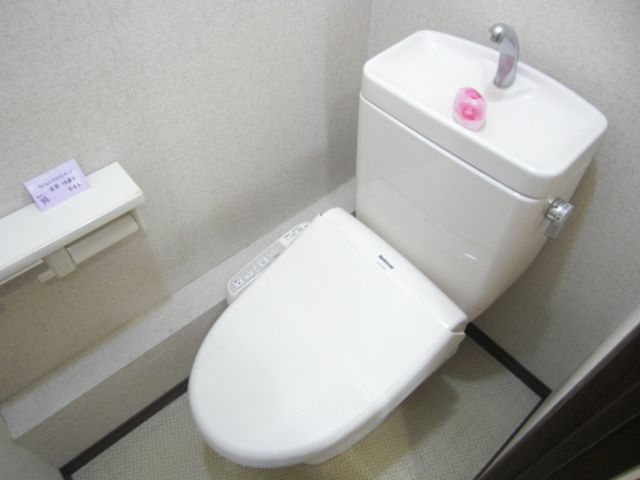 Toilet. It is a toilet with a clean.