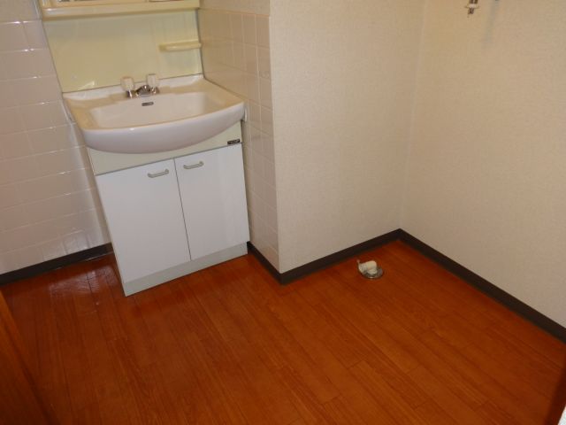 Washroom. Spacious dressing room