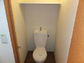 Toilet. It is convenient upper shelf