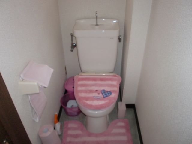Toilet. It is a toilet with a clean. 
