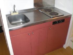 Kitchen. Electric stove ☆ Role in fire prevention!