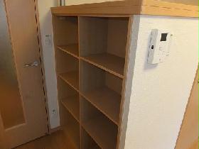 Living and room. It is with a bookshelf.