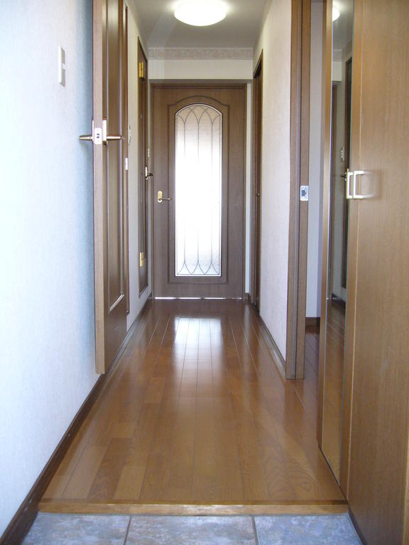 Entrance. Passage from the entrance to the living room