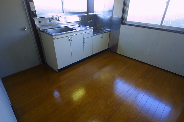 Kitchen. Bright two-plane daylight