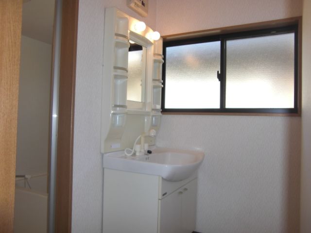 Washroom. Busy morning of preparation is also comfortable with shampoo dresser. 