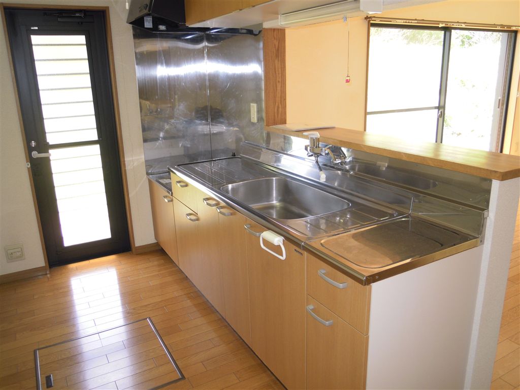 Kitchen. Easy-to-use counter kitchen