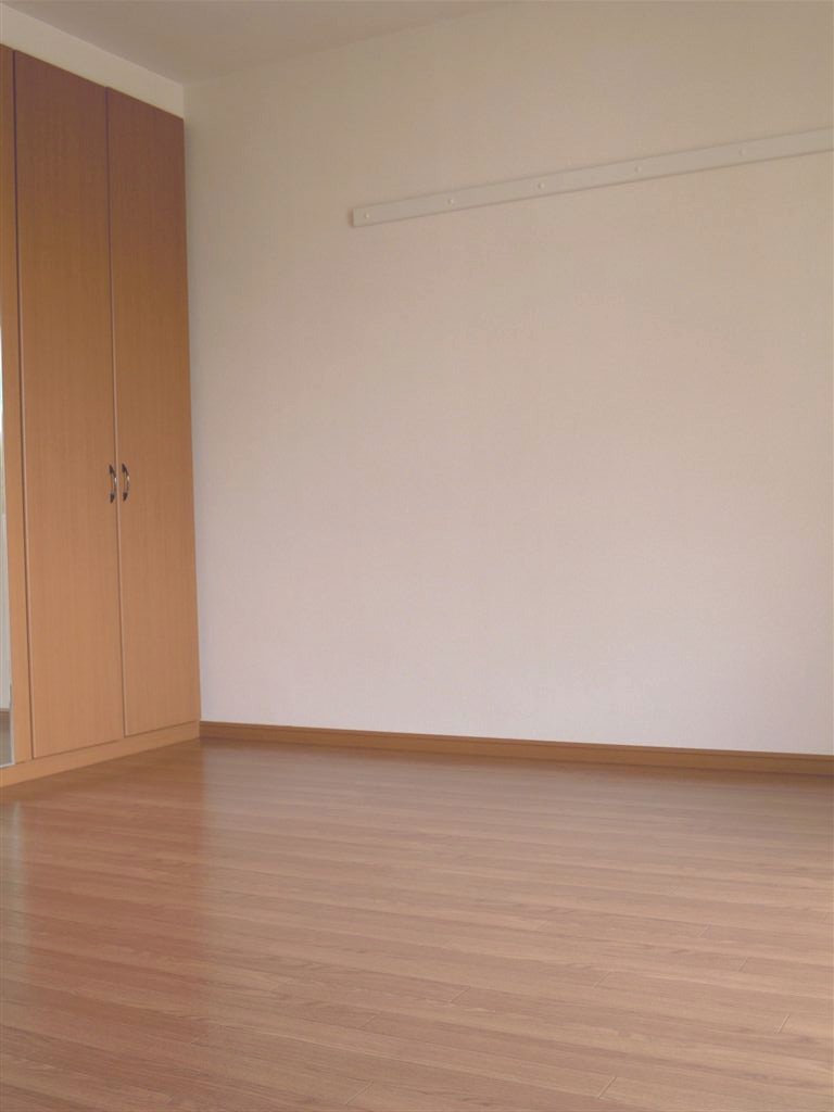 Other room space. Living next to the Western-style. Oversized with closet