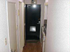 Other. Shooting from the living room