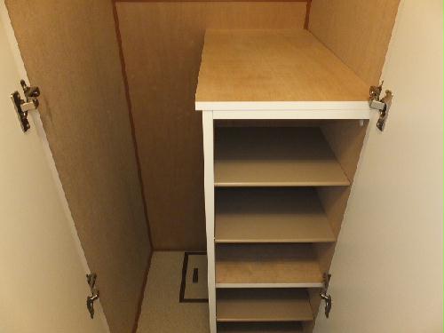 Entrance. Convenient large shoe box