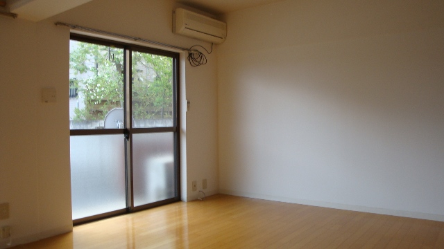 Living and room. Sunny nice room