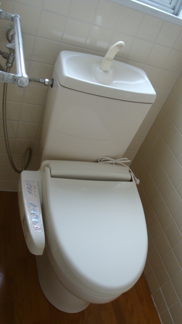 Toilet. It is with a bidet