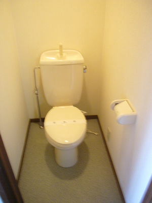 Toilet. Toilet