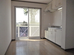 Living and room. Bright DK there is a large window.