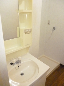 Washroom. Washbasin & Indoor Laundry Area