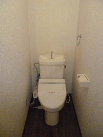 Toilet. Warm water washing toilet seat