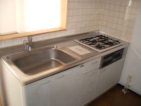 Kitchen. System kitchen